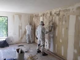 Best Residential Mold Inspection & Testing in Wilder, ID